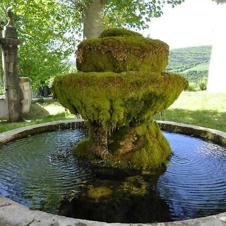 Chateau De Beaucouse Thoard Kültér fotó